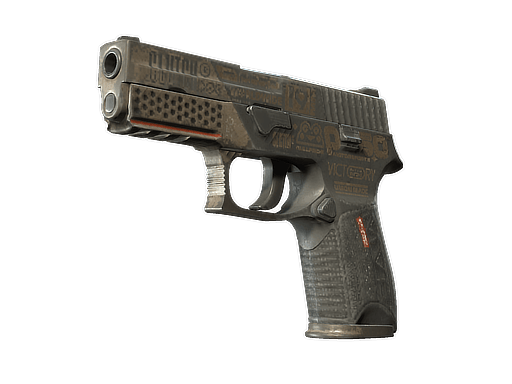 StatTrak™ P250 | Bullfrog (Battle-Scarred)