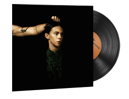 StatTrak™ Music Kit | PVRIS, Evergreen