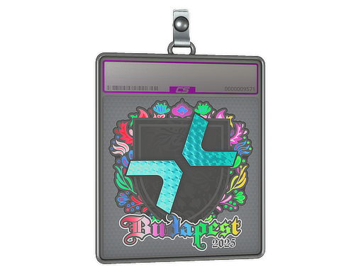 Sticker Slab | PARIVISION (Holo) | Budapest 2025