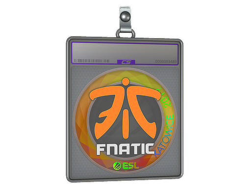 Sticker Slab | Fnatic (Holo) | Katowice 2019