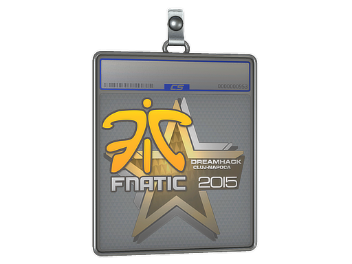 Sticker Slab | Fnatic | Cluj-Napoca 2015