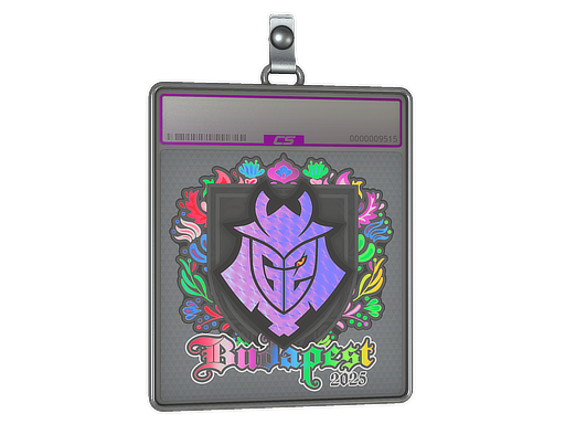 Sticker Slab | G2 esports (Holo) | Budapest 2025