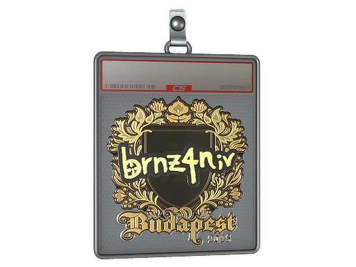 Sticker Slab | brnz4n (Gold) | Budapest 2025