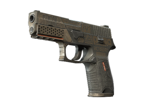 StatTrak™ P250 | Bullfrog (Battle-Scarred)