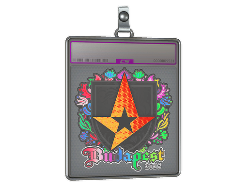 Sticker Slab | Astralis (Holo) | Budapest 2025