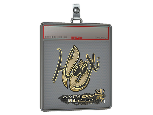 Sticker Slab | HooXi (Gold) | Antwerp 2022