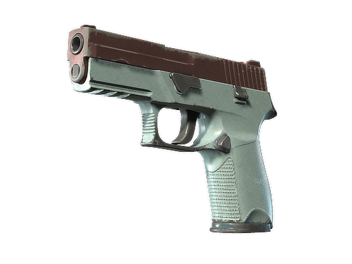 P250 | Copper Oxide (Well-Worn)