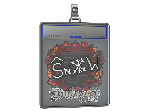 Sticker Slab | snow | Budapest 2025