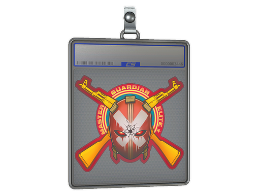 Sticker Slab | Master Guardian Elite