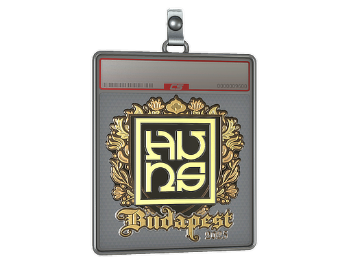 Sticker Slab | The Huns (Gold) | Budapest 2025