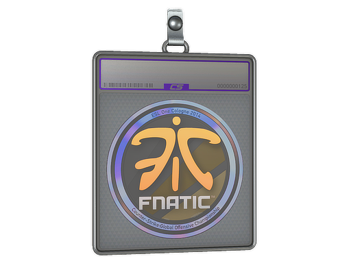 Sticker Slab | Fnatic (Holo) | Cologne 2014