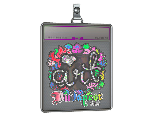 Sticker Slab | arT (Holo) | Budapest 2025