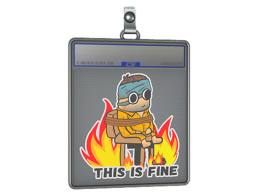 Sticker Slab | This Is Fine (H)