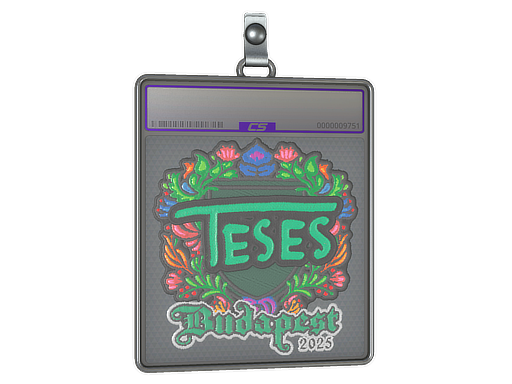 Sticker Slab | TeSeS (Embroidered) | Budapest 2025