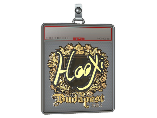 Sticker Slab | HooXi (Gold) | Budapest 2025