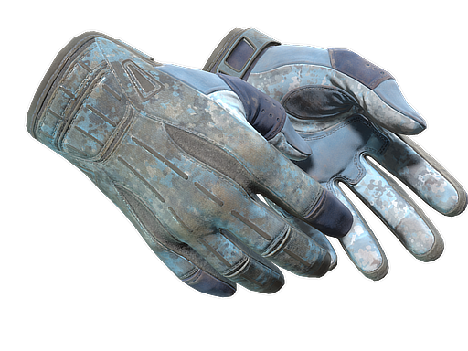 ★ Sport Gloves | Frosty (Battle-Scarred)