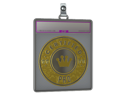 Sticker Slab | The Pro (Foil)