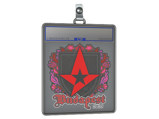 Sticker Slab | Astralis | Budapest 2025