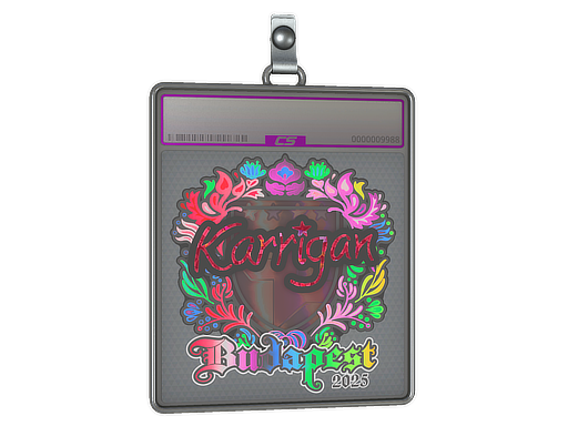 Sticker Slab | karrigan (Holo) | Budapest 2025