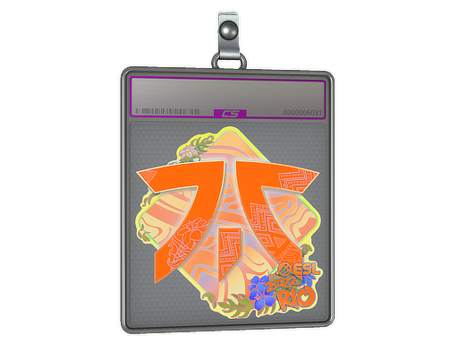 Sticker Slab | Fnatic (Holo) | Rio 2022