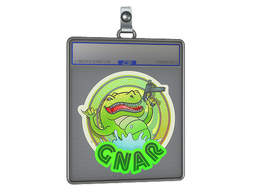 Sticker Slab | Green Gnar