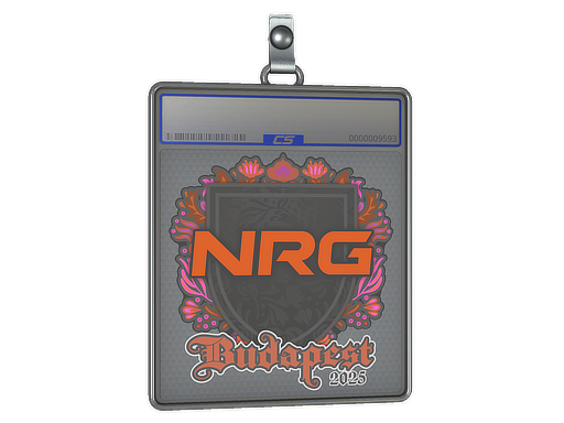 Sticker Slab | NRG | Budapest 2025