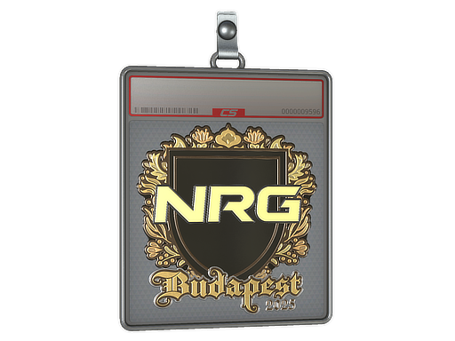 Sticker Slab | NRG (Gold) | Budapest 2025