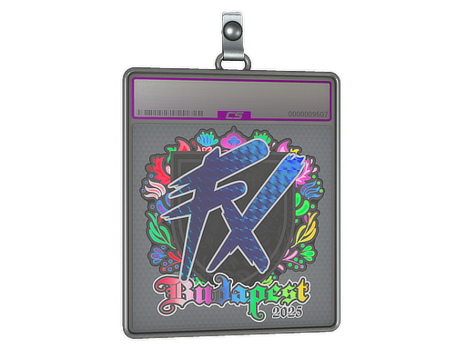 Sticker Slab | Fluxo (Holo) | Budapest 2025