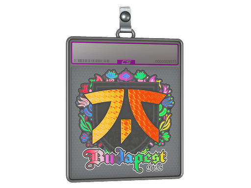 Sticker Slab | fnatic (Holo) | Budapest 2025