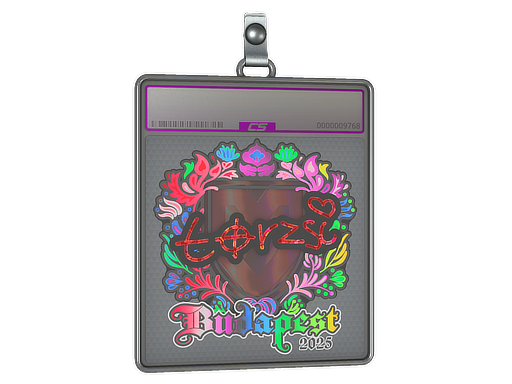 Sticker Slab | torzsi (Holo) | Budapest 2025