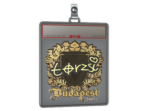 Sticker Slab | torzsi (Gold) | Budapest 2025