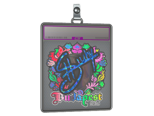 Sticker Slab | siuhy (Holo) | Budapest 2025