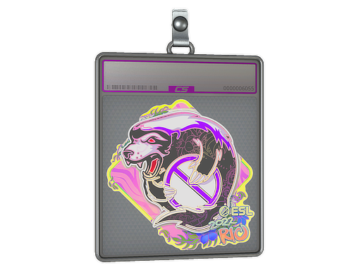 Sticker Slab | Outsiders (Holo) | Rio 2022