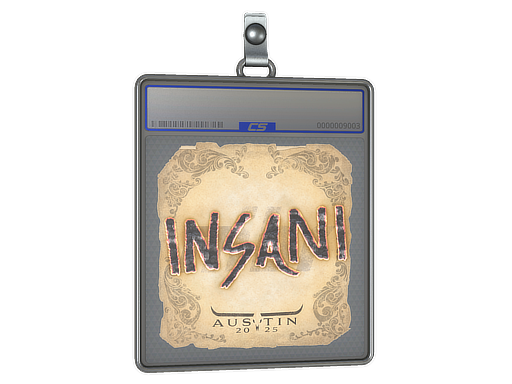 Sticker Slab | insani | Austin 2025