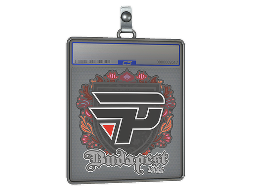 Sticker Slab | paiN Gaming | Budapest 2025