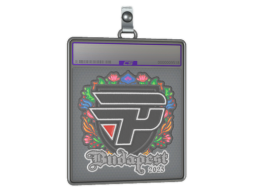 Sticker Slab | paiN Gaming (Embroidered) | Budapest 2025