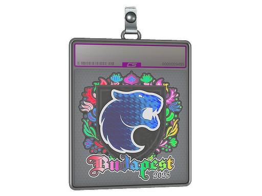 Sticker Slab | FURIA (Holo) | Budapest 2025