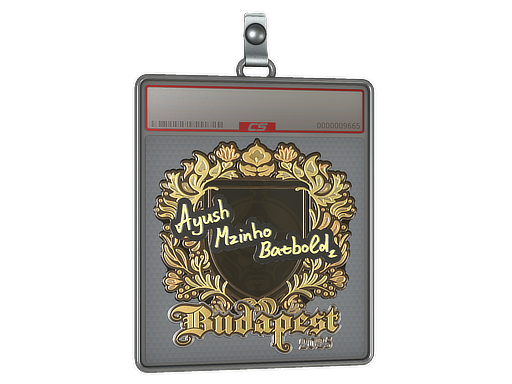 Sticker Slab | mzinho (Gold) | Budapest 2025