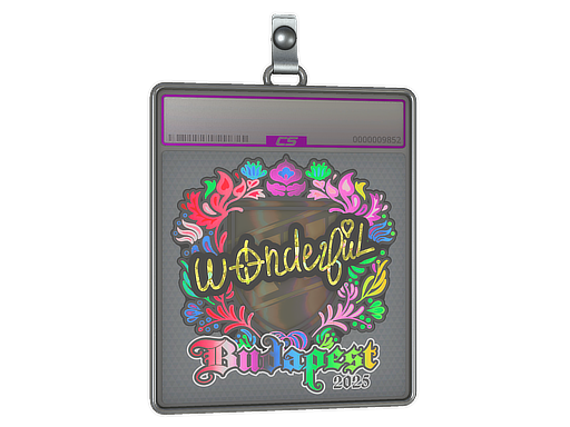 Sticker Slab | w0nderful (Holo) | Budapest 2025