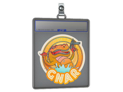 Sticker Slab | Orange Gnar