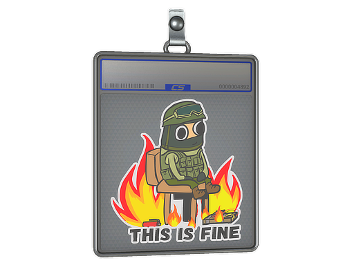 Sticker Slab | This Is Fine (CT)