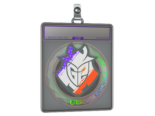 Sticker Slab | G2 Esports (Holo) | Katowice 2019