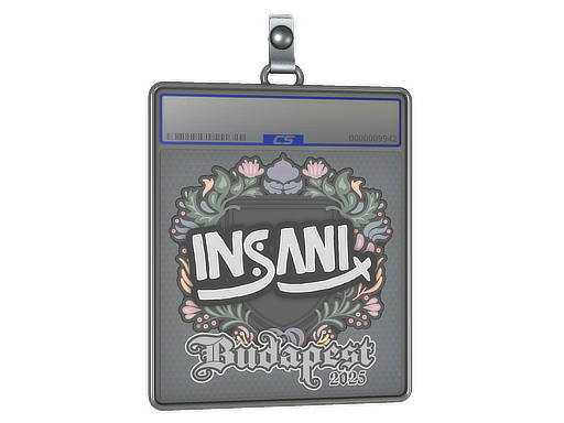 Sticker Slab | insani | Budapest 2025