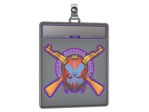 Sticker Slab | Master Guardian Elite (Holo)