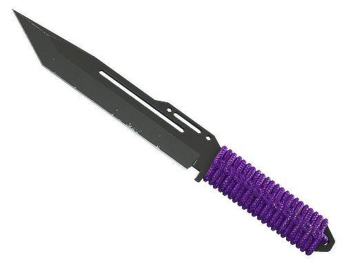 ★ StatTrak™ Paracord Knife | Ultraviolet (Well-Worn)