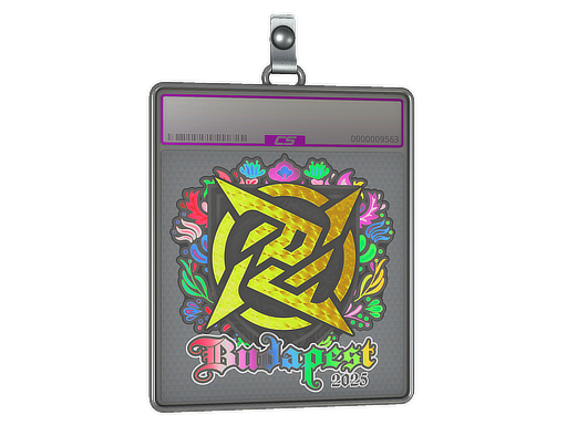 Sticker Slab | Ninjas in Pyjamas (Holo) | Budapest 2025