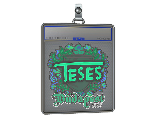 Sticker Slab | TeSeS | Budapest 2025