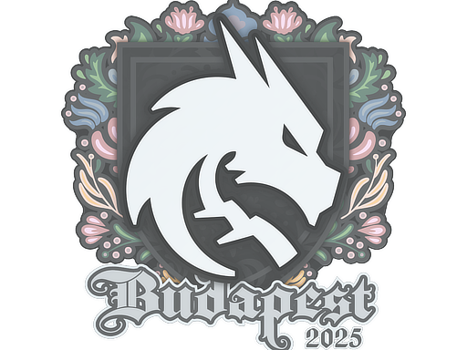 Sticker | Team Spirit | Budapest 2025