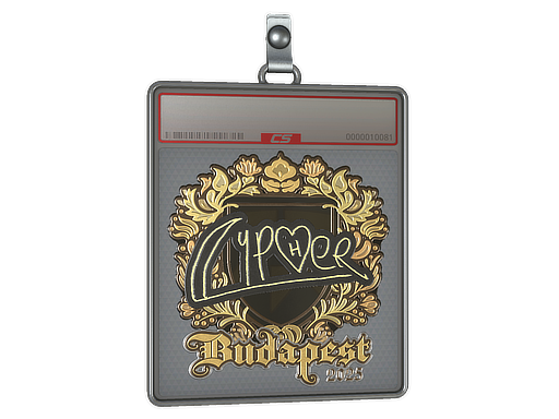 Sticker Slab | Cypher (Gold) | Budapest 2025