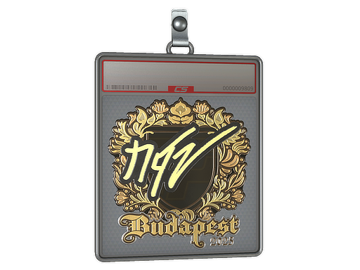 Sticker Slab | NQZ (Gold) | Budapest 2025